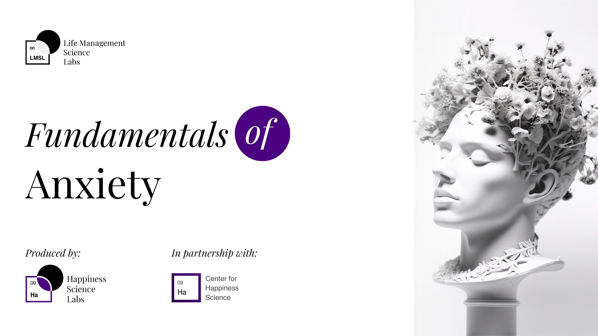 Fundamentals of Emotions