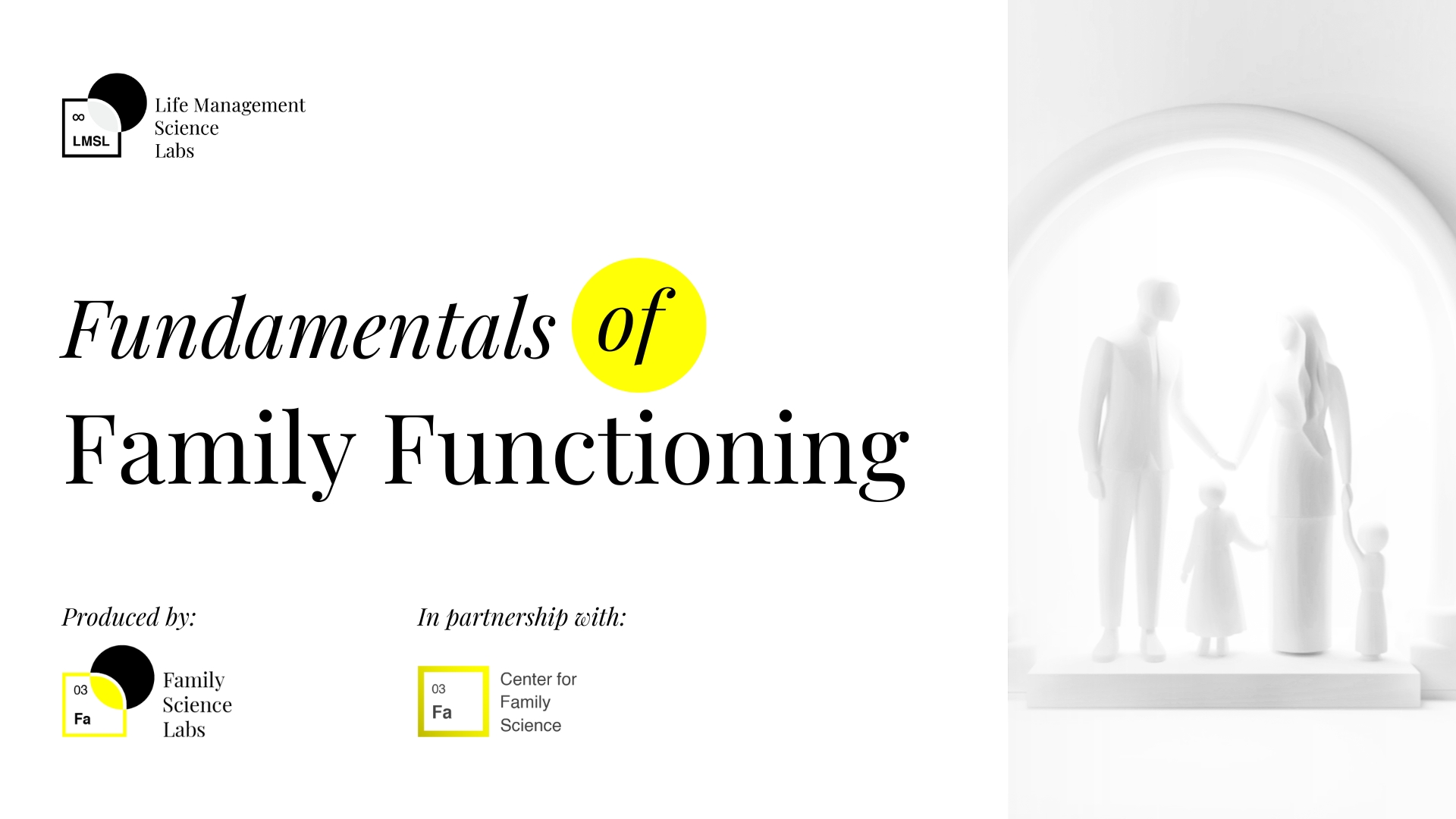 Fundamentals of Family Functioning