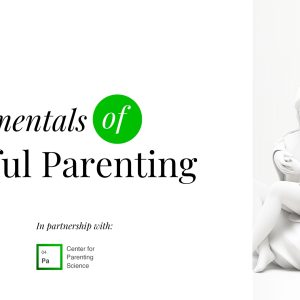 Fundamentals of Mindful Parenting