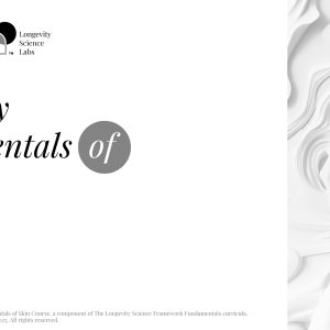 Longevity Fundamentals of Skin